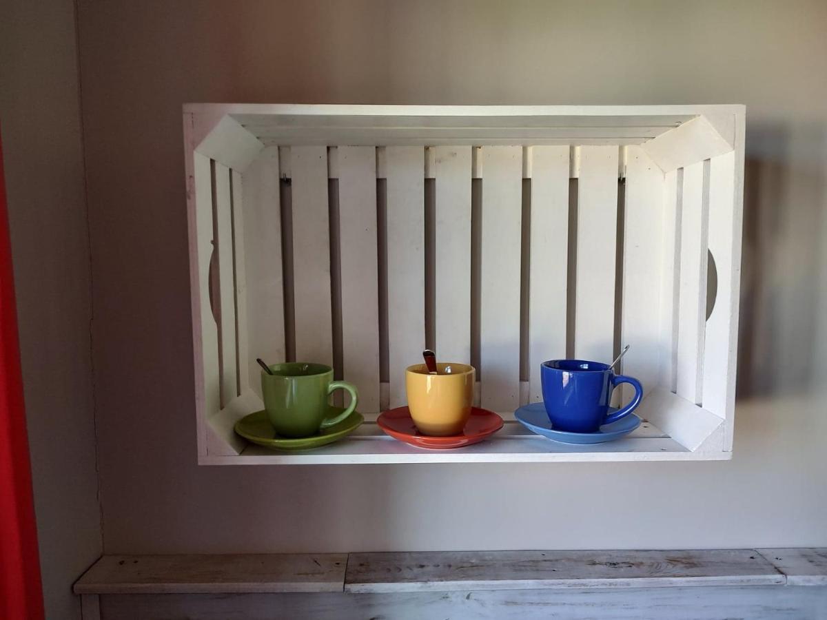 Apartamenty Zielona Gora Dış mekan fotoğraf