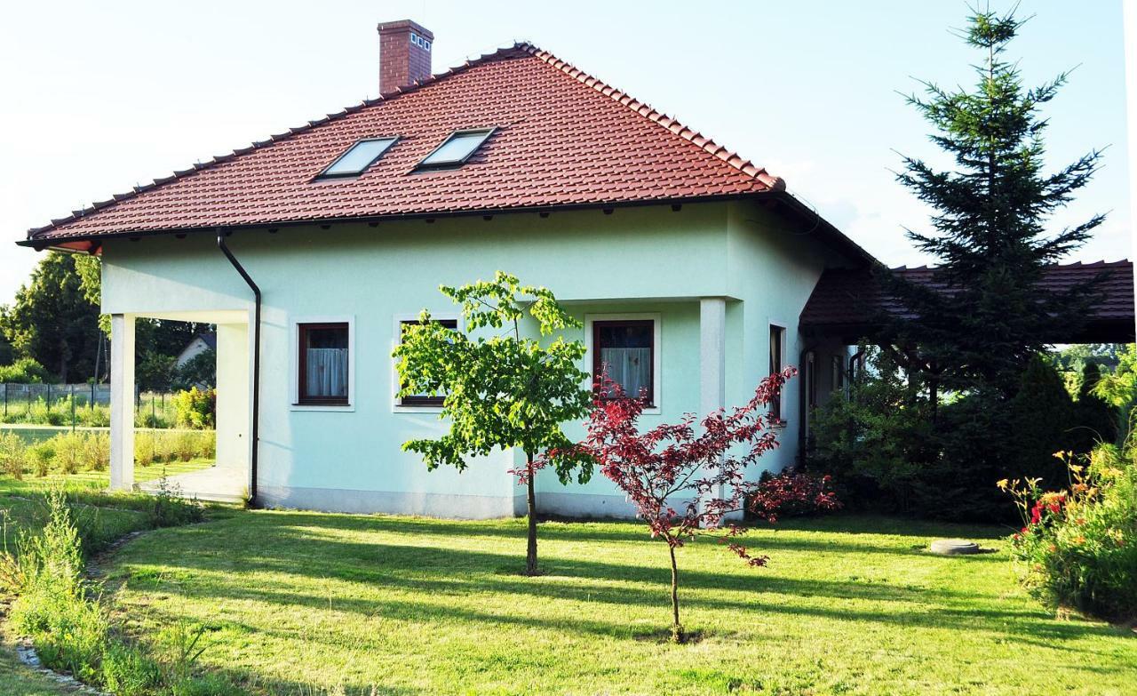 Apartamenty Zielona Gora Dış mekan fotoğraf